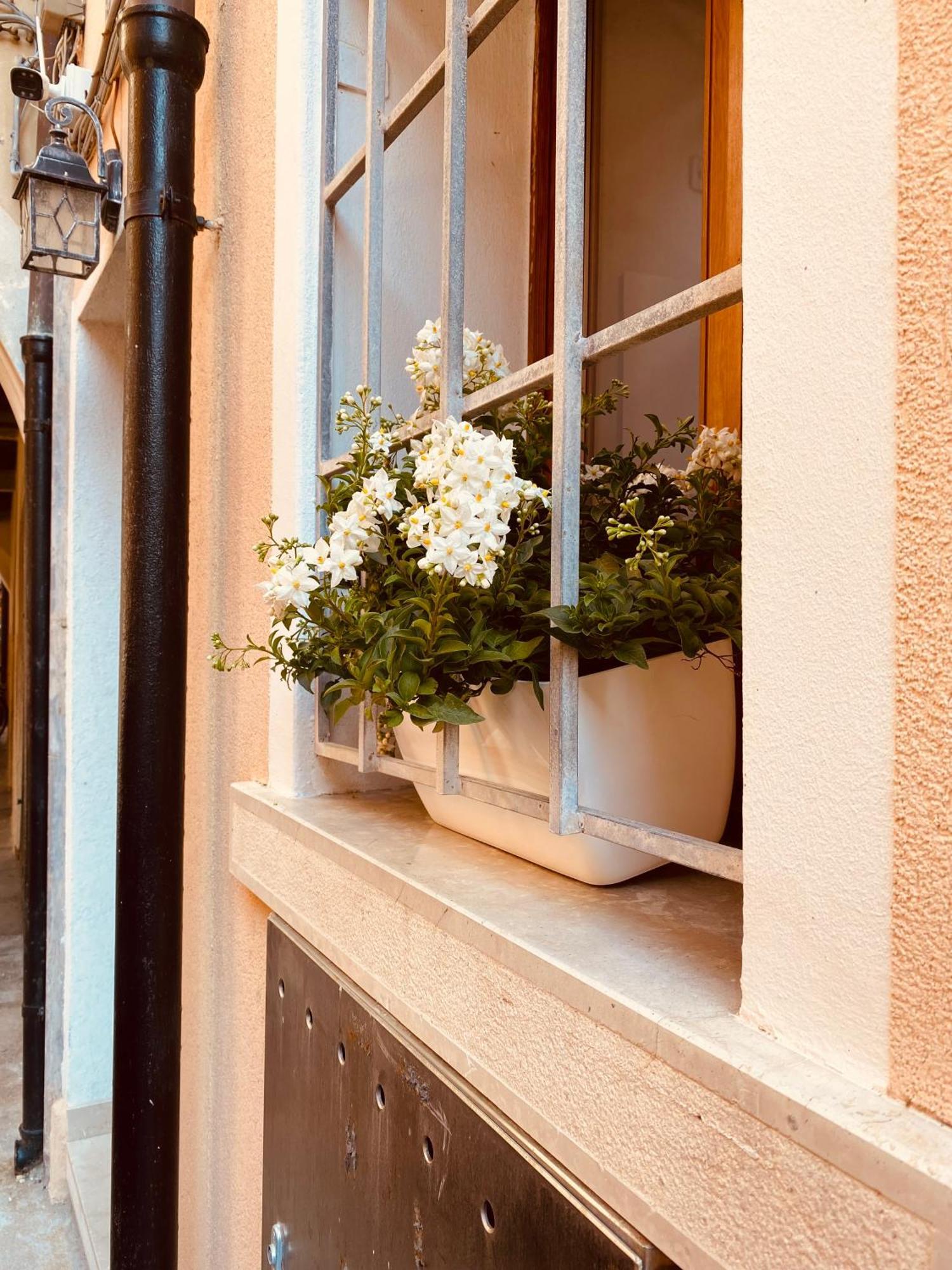 Casabella Chioggia Casa Indipendente Con Corte Eksteriør billede